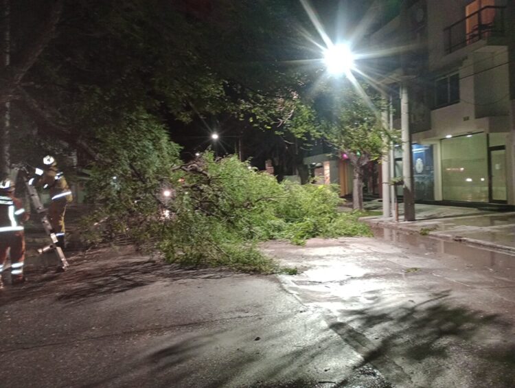 Intensa actividad de Bomberos durante el fin de semana