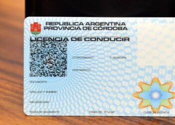 Prorrogan las licencias clase C, D y E profesionales