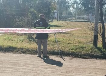 Un recolector de residuos falleció en un accidente ocurrido en  San Martín y Ameghino