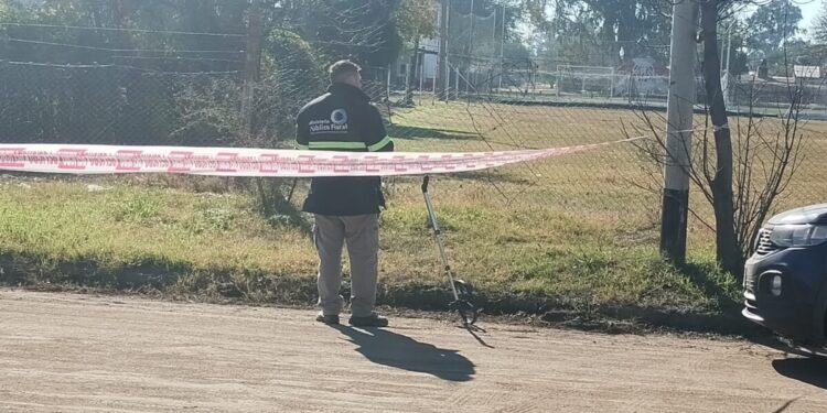 Un recolector de residuos falleció en un accidente ocurrido en  San Martín y Ameghino