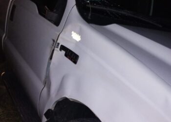 Ruta 13: camioneta chocó a un caballo