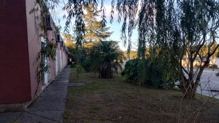 Locales comerciales y ambicioso proyecto para el inmueble del ex Gran Hotel (audio entrevista)