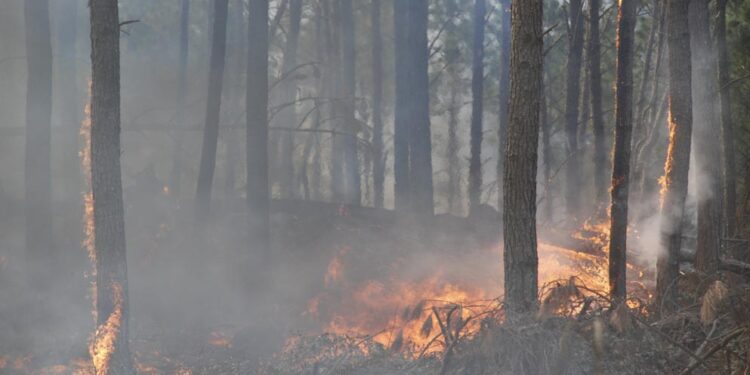 La Provincia declaró el estado de alerta ambiental por riesgo de incendios