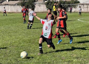 Futbol Infantil: Almafuerte y Carrilobo definirán el primer título de la Sur