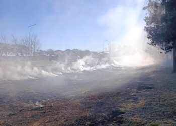 Bomberos sofocaron un incendio de banquina