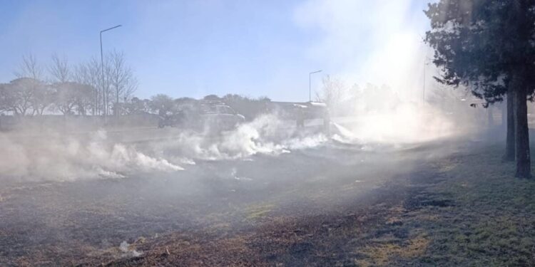 Bomberos sofocaron un incendio de banquina