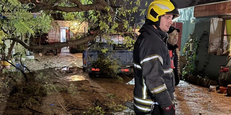 Temporal: un árbol cayó en el patio de una vivienda