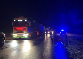 Camión reventó neumáticos cerca de Alicia