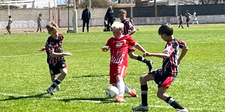 Futbol Infantil: Tres clasificados y un cuarto lugar para varios en la fecha final