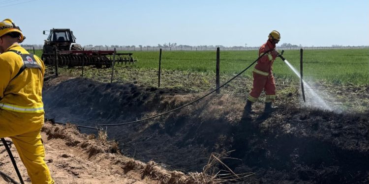 Incendio en zona rural de El Arañado