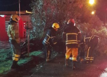 Multilpes intervenciones de Bomberos en la madrugada