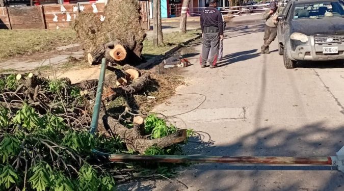 Fuertes vientos y 38 mm de lluvia provocaron daños en la ciudad