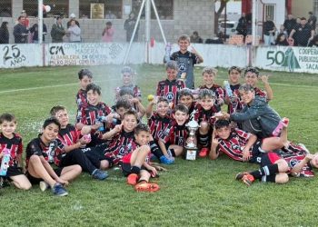 Fútbol Infantil: Almafuerte se quedó con 4 de los 5 títulos de la Zona Sur