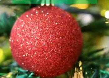 Inauguran árbol de navidad en la rotonda de acceso a Las Varillas