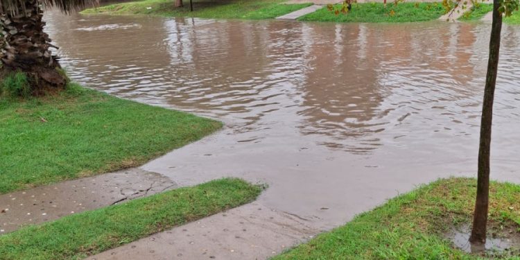 Importantes lluvias en toda la región