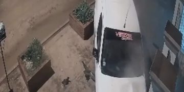 Dueño de la Partner robada y estrellada contra vivienda: impotencia y perjuicio económico