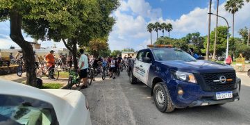 Resumen de los procedimientos de Seguridad Ciudadana de los últimos días