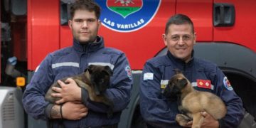 Bomberos de Las Varillas y sus perros se suman al operativo de búsqueda de Agostina