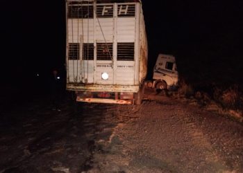 Accidente entre dos camiones en Ruta 158: no hubo lesionados