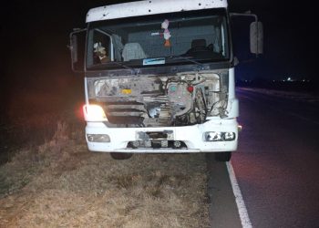 Camión chocó a una vaca en la Ruta 13