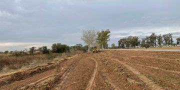 Municipalidad realiza limpieza de banquinas en Ruta 3