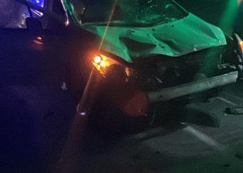 Caballos sueltos en ruta 3 provocaron otro accidente de tránsito