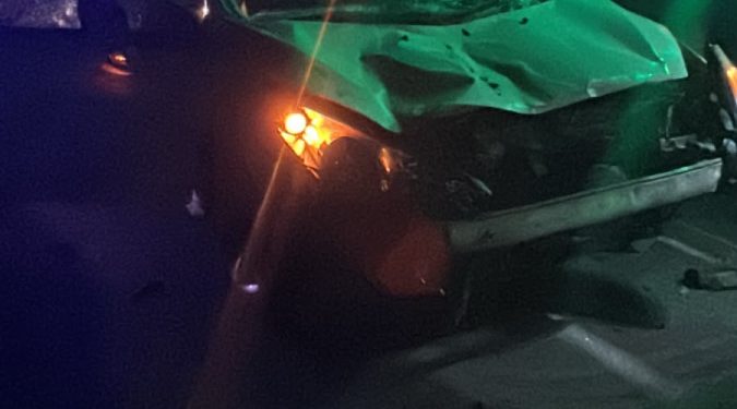 Caballos sueltos en ruta 3 provocaron otro accidente de tránsito