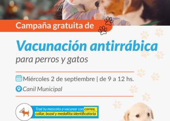 Este miércoles, otra jornada de vacunación antirrábica gratuita